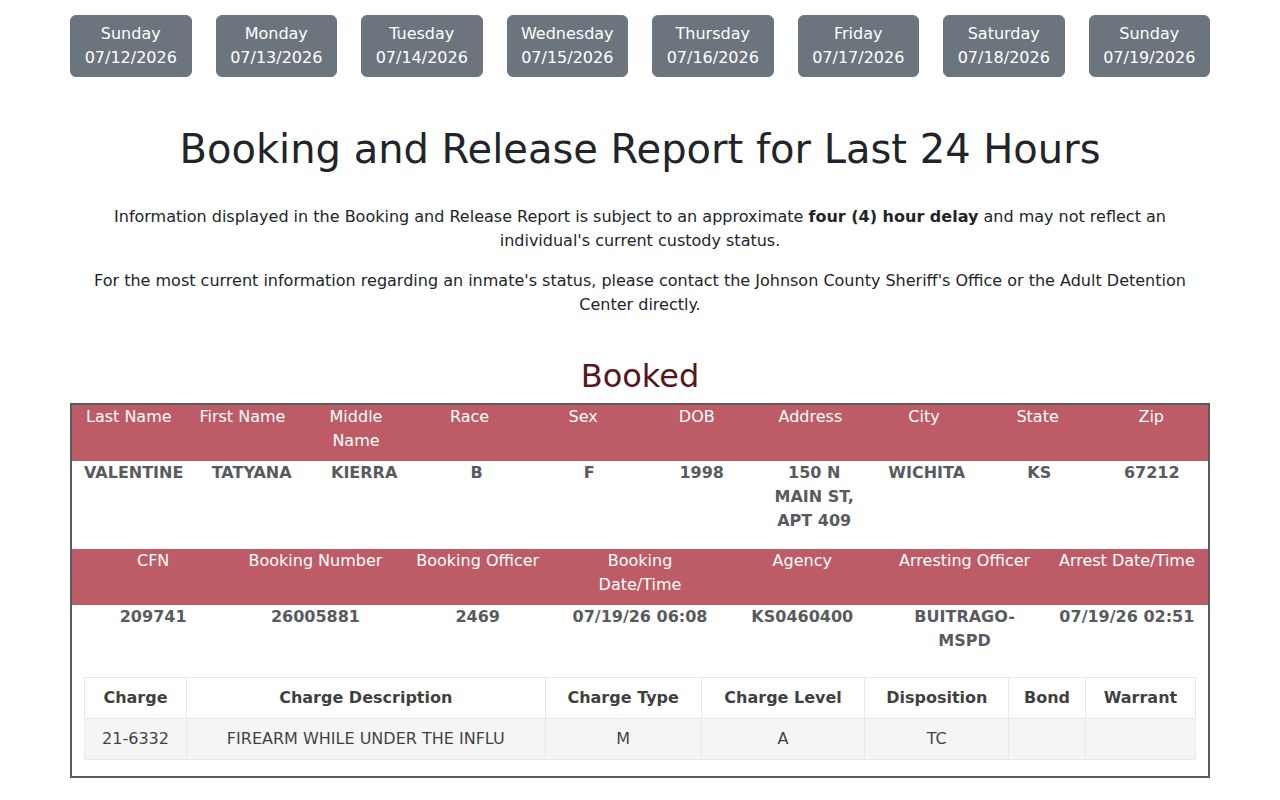 Johnson County Sheriff Booking and Release Report showing the Last 24 Hours interface